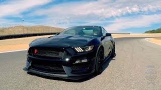 2016 Ford Shelby Mustang GT350  First Look [upl. by Hudson]