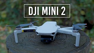 DJI Mini 2 Drone  Handson Review [upl. by Bahner702]