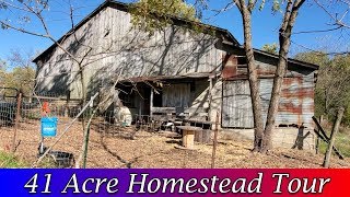 Homestead Tour  2019 Tour of our 41 Acre Homestead [upl. by Amoihc637]