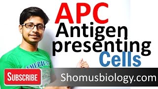 Antigen presenting cells APC [upl. by Okkin52]