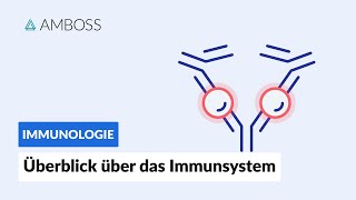 Überblick über das unspezifische und spezifische Immunsystem  Immunologie  AMBOSS Video [upl. by Eiramoj]