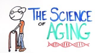 The Science of Aging [upl. by Enelyaj138]