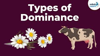 Genetics  Dominance and Its Types  Lesson 8  Dont Memorise [upl. by Asena]