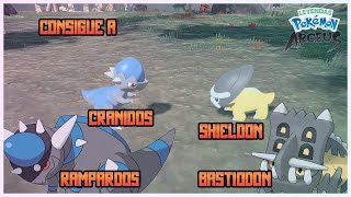 Como Conseguir A CRANIDOS RAMPARDOS SHIELDON Y BASTIODON En Leyendas Pokemon Arceus [upl. by Louis482]