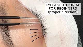 Individual Lashes Tutorial CLOSE UP [upl. by Pirali]