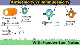 Antigenicity and Immunogenicity  Immunology Lecture 20 [upl. by Eanom]