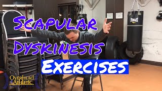 Scapular Dyskinesis Exercises [upl. by Ailefo]