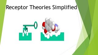 Theories of Receptors Simplified [upl. by Nylyoj]