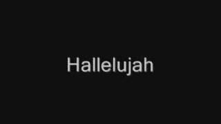 John Cale  Hallelujah Lyrics best version [upl. by Aniras]