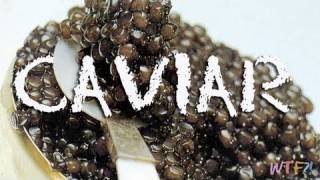 What Is and How to Eat Caviar Caviar 101 [upl. by Sert]