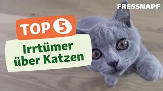 Top 5 Irrtümer über Katzen [upl. by Aven]