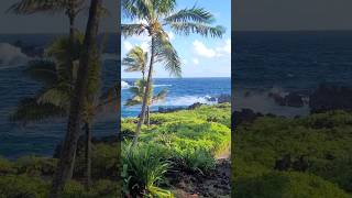 Pacific Ocean View from Maui Hawaii [upl. by Carolle]