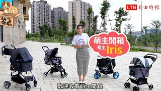 【萌主開箱】IBIYAYA寵物推車大評比小速攜丹寧瘋小資國民尊爵號 [upl. by Ahseid376]