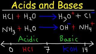 Acids and Bases  Basic Introduction  Chemistry [upl. by Archer]