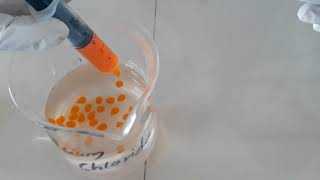 Sodium Alginate Beads by Gelation Method Surawase Sir LNJDP COP Manur [upl. by Monagan]