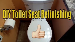 DIY Toilet Seat Refinishing [upl. by Adoh908]