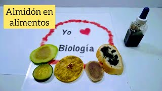 Almidón en alimentos Experimento  BiologíayEcología experimentossencillosdebiología [upl. by Eidua339]