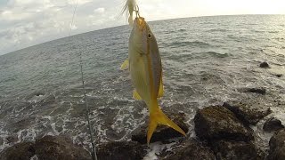 MultiSpecies Surf Fishing in Puerto Rico [upl. by Erasmus636]