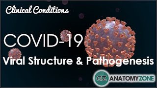 Coronavirus COVID19  Viral Structure amp Pathogenesis [upl. by Legnaleugim977]