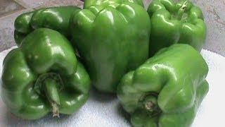 How to Freeze Green Peppers [upl. by Audley]