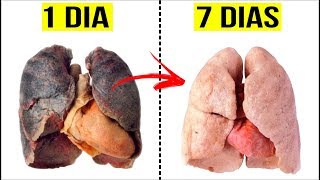 Veja Como Limpar Os Pulmões Em 7 Dias RECEITA PODEROSA [upl. by Yeltsew809]