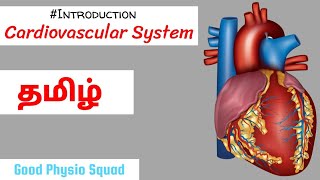 Physiology  Introduction to the Cardiovascular System in Tamil Lecture [upl. by Ad]