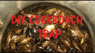 DIY Cockroach Trap with proof [upl. by Anassor]