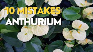 10 MISTAKES Growing Anthuriums  Flamingo Flower Care Tips [upl. by Ricoriki]