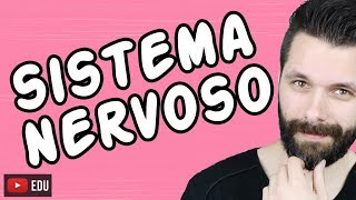 SISTEMA NERVOSO  FISIOLOGIA  Aula  Biologia com Samuel Cunha [upl. by Nezam]