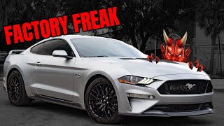 FACTORY FREAK  STOCK MUSTANG Puts Down OVER 900 Horsepower [upl. by Dudley]