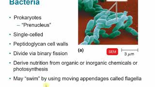 BIOL 2117 Chapter 1  The Microbial World and You [upl. by Alrak]