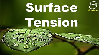 🔴 Surface Tension  for Class 11 in HINDI [upl. by Bolton]