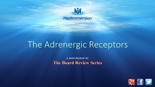 The Adrenergic Receptors [upl. by Idrahs]