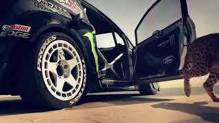 Ya lilli  remix  arabic song  dubai car stunt [upl. by Faxun]