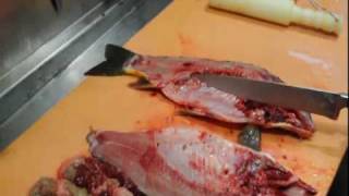 Karpfen zerlegen und filetieren  How to cut and filet carp [upl. by Ahseena]