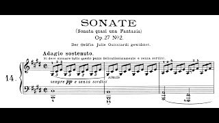 Beethoven Sonata quasi una fantasia No14 in C Minor quotMoonlightquot Lortie Jando [upl. by Gillette535]