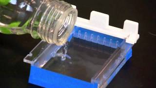 Casting an Agarose Gel [upl. by Gerger457]