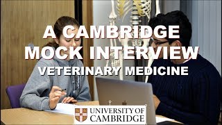 Cambridge Mock Interview for Veterinary Medicine [upl. by Bertrand713]