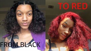 HOW TO DYE HAIR RED NO BLEACH  LOREAL HICOLOR HIGHLIGHTS [upl. by Annuaerb10]