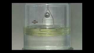 Interfacial Tension Test using a Du Nouy Ring [upl. by Cost]