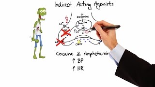 Pharmacology  ADRENERGIC RECEPTORS amp AGONISTS MADE EASY [upl. by Ninette]