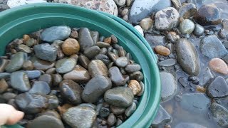 Gold Prospecting Western Washington State [upl. by Ysak555]