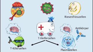 Wie funktioniert unser Immunsystem [upl. by Notxam]