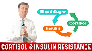 Cortisol Resistance amp Insulin Resistance Explained by DrBerg [upl. by Akemot]