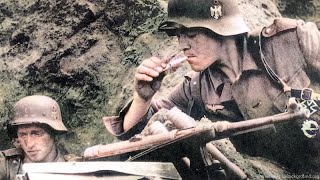 WW2 Waffen SS Intense Combat Footage [upl. by Nnyrat514]