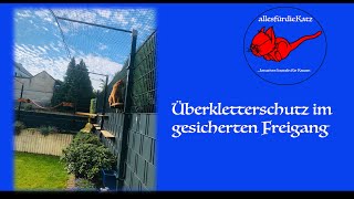 Überkletterschutz im gesicherten KatzenGarten [upl. by Aihsyn]