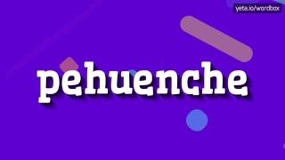 PEHUENCHE  HOW TO PRONOUNCE IT [upl. by Boys985]