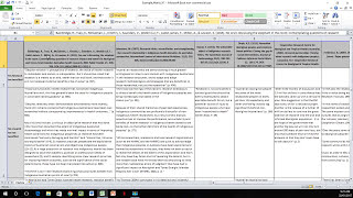 How to Create a Literature Matrix Excel [upl. by Milburr]