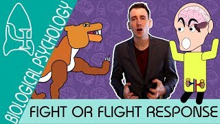 Fight or Flight  Biological Psychology AQA ALevel [upl. by Auhoj]