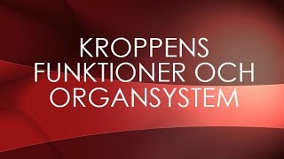 Människokroppen  organsystem [upl. by Gertrude]